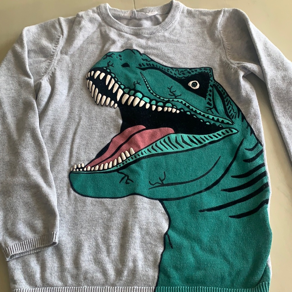 H&M Dino sweater